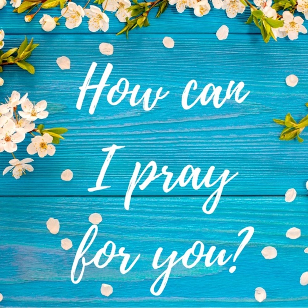 Leave Prayer Request in Comments